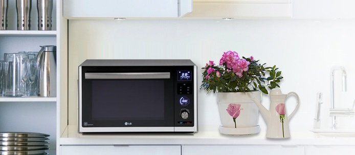 Соло микроволновка в чем отличие