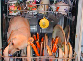 Замена ТЭНа в посудомоечной машине LG