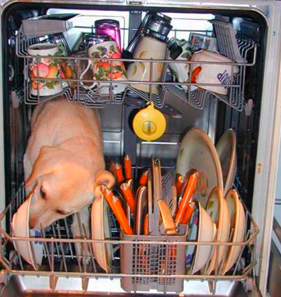 Замена ТЭНа в посудомоечной машине LG